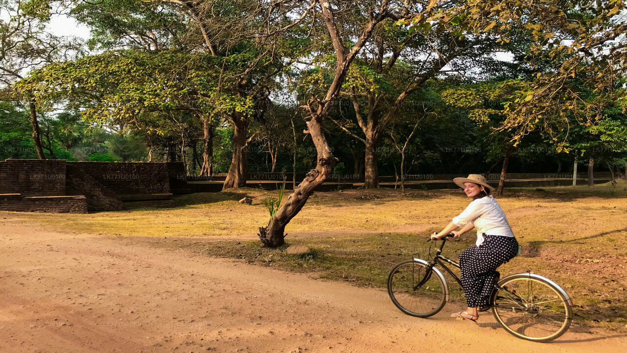 Parcourez les ruines anciennes à vélo depuis Polonnaruwa
