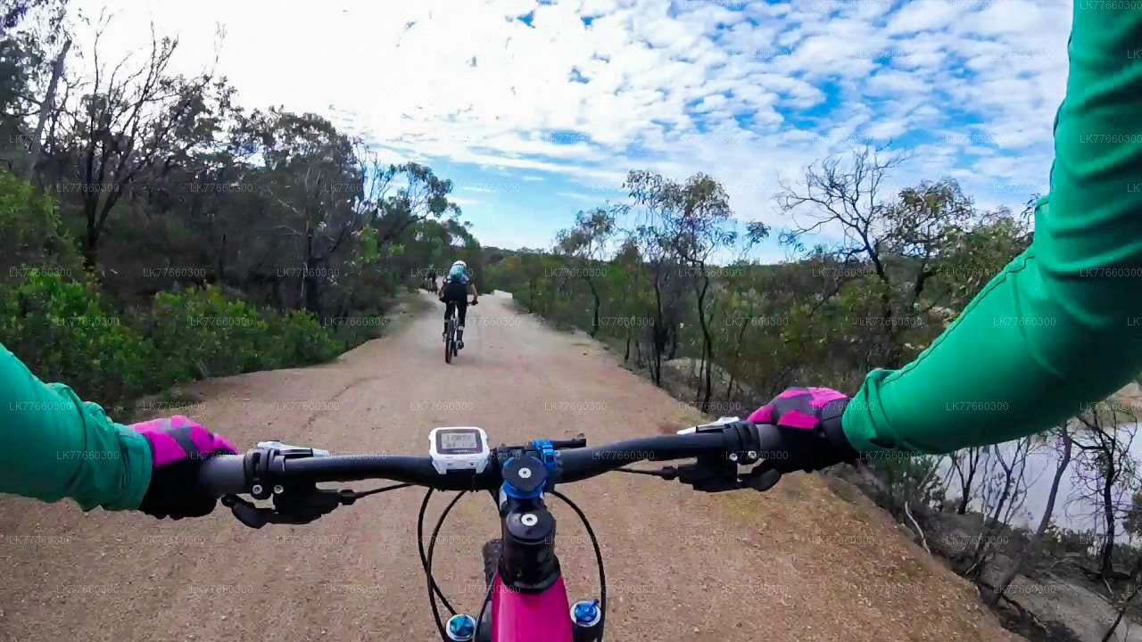 Excursion à vélo dans la zone humide de Thalangama au départ de Colombo