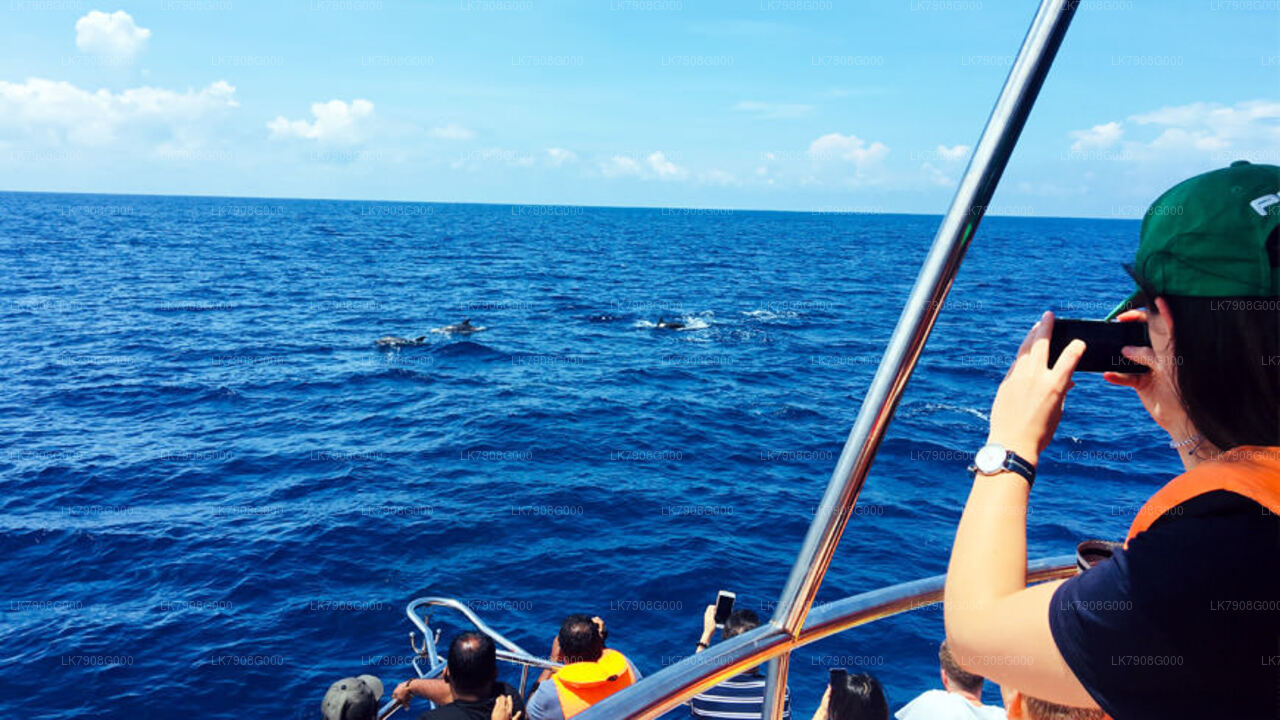 Croisière de 2 nuits à Mirissa