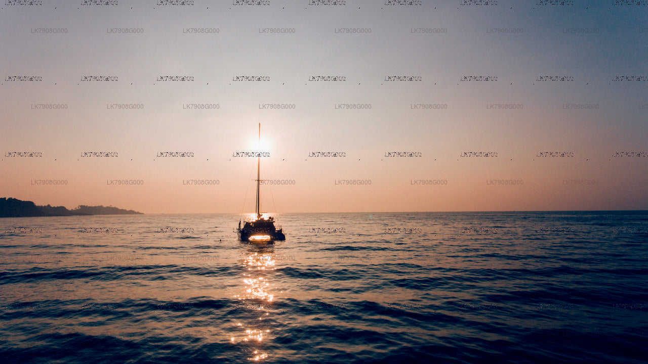 Croisière de 2 nuits à Mirissa