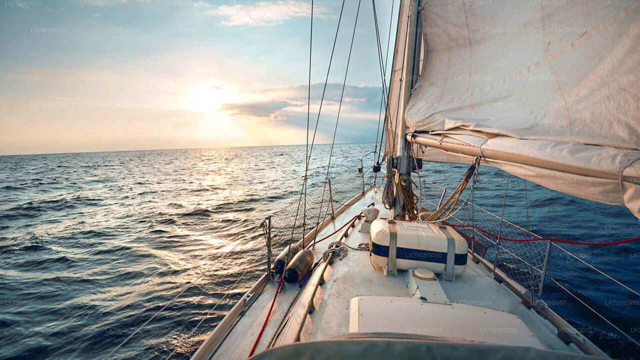 Croisière de 2 nuits à Mirissa