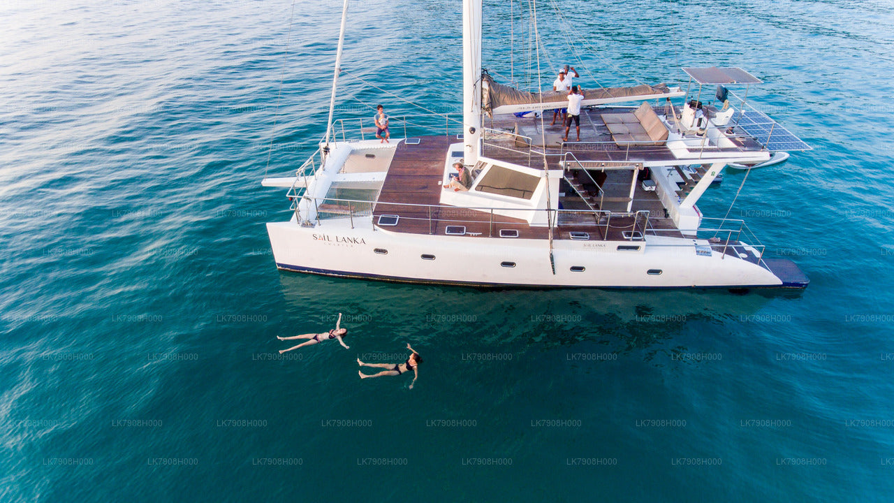 Croisière d'une nuit au départ de Mirissa