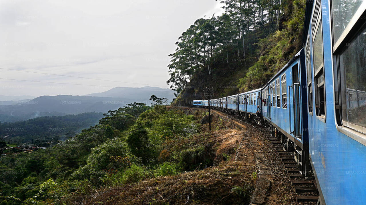 Prenez le train de Kandy à Badulla (train n° 1005 « Podi Menike »)
