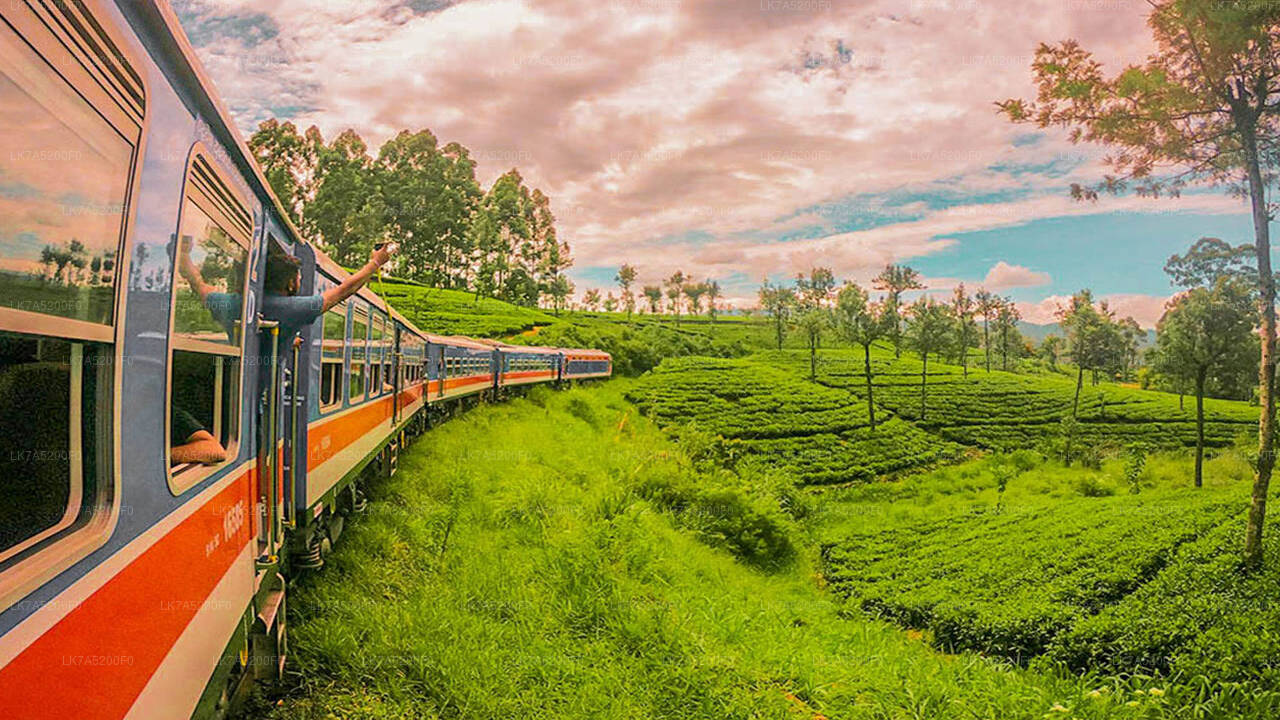 Prenez le train Ella à Peradeniya (train n° 1002 « Denuwara Menike »)