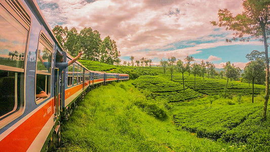 Prenez le train Ella à Peradeniya (train n° 1002 « Denuwara Menike »)