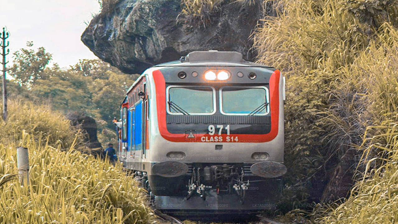 Prenez le train Ella à Peradeniya (train n° 1002 « Denuwara Menike »)
