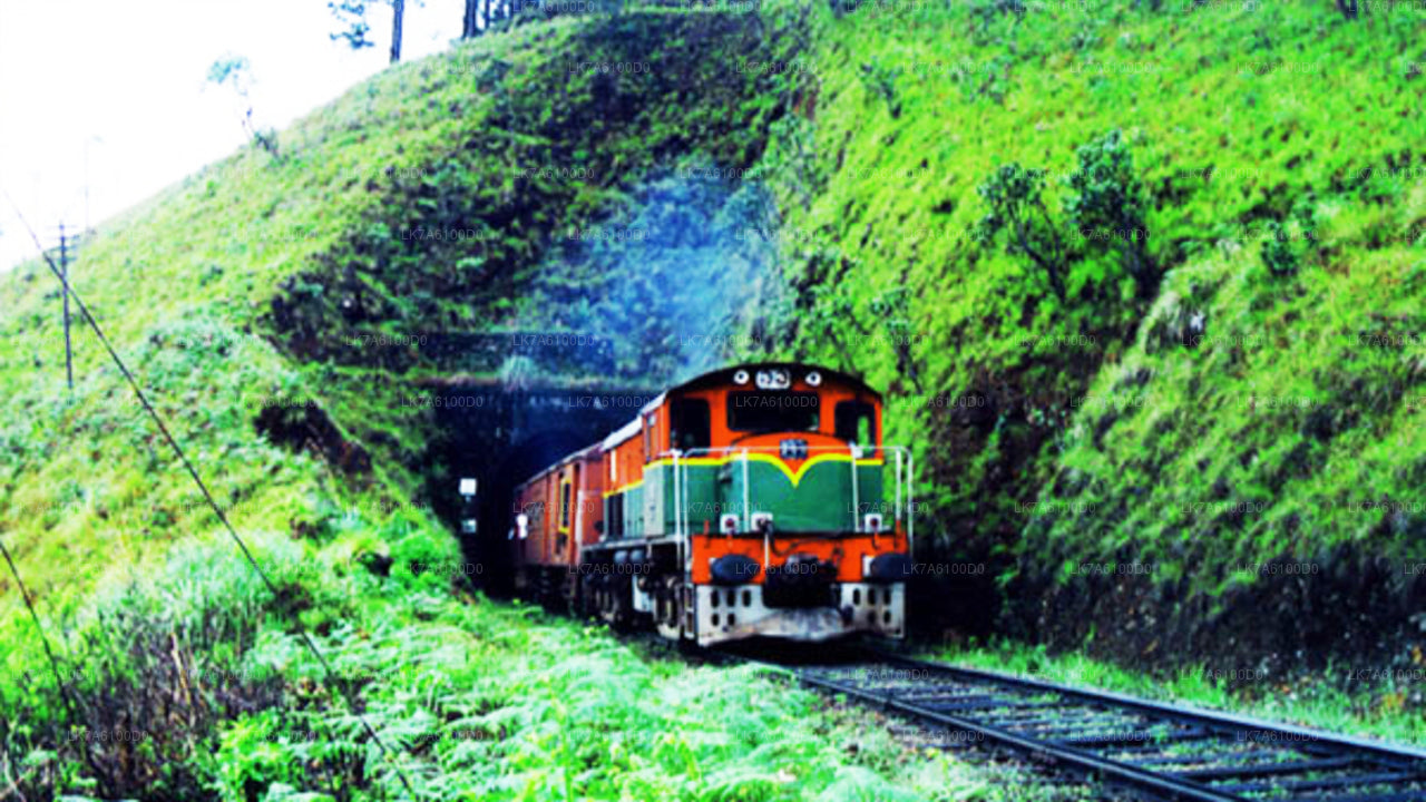 Trajet en train de Badulla à Colombo (train № 1016 "Udarata Menike")
