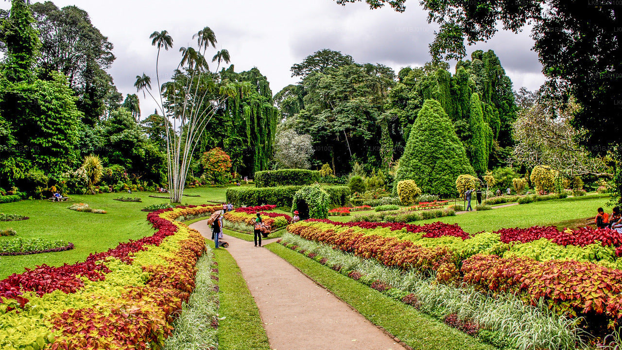 Visite de la ville de Kandy depuis le port de Colombo