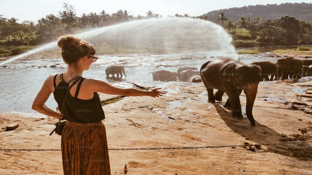 Visite de la ville de Kandy depuis le port de Colombo