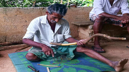 Visite de la ville de Bentota depuis le port de Colombo