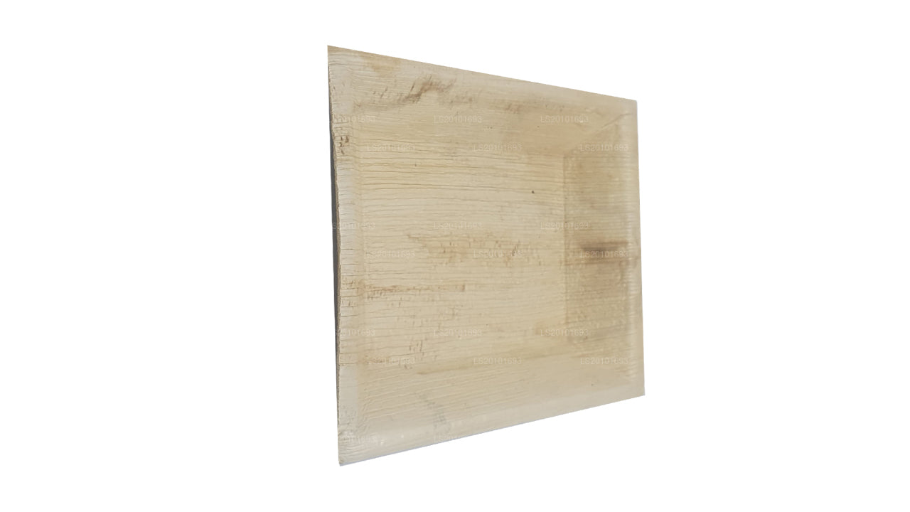 Assiettes alimentaires faites à la main en forme de feuille d'arec 20 cm x 20 cm (type carré)