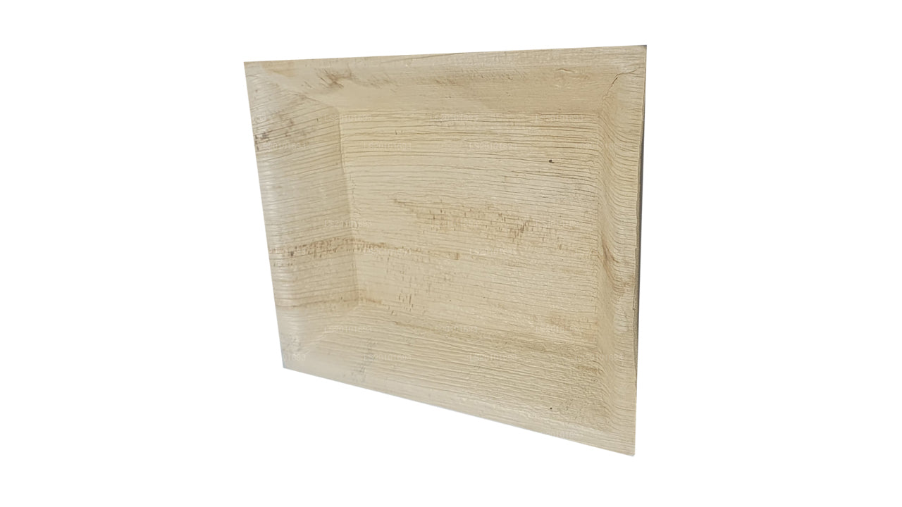 Assiettes alimentaires faites à la main en forme de feuille d'arec 20 cm x 20 cm (type carré)