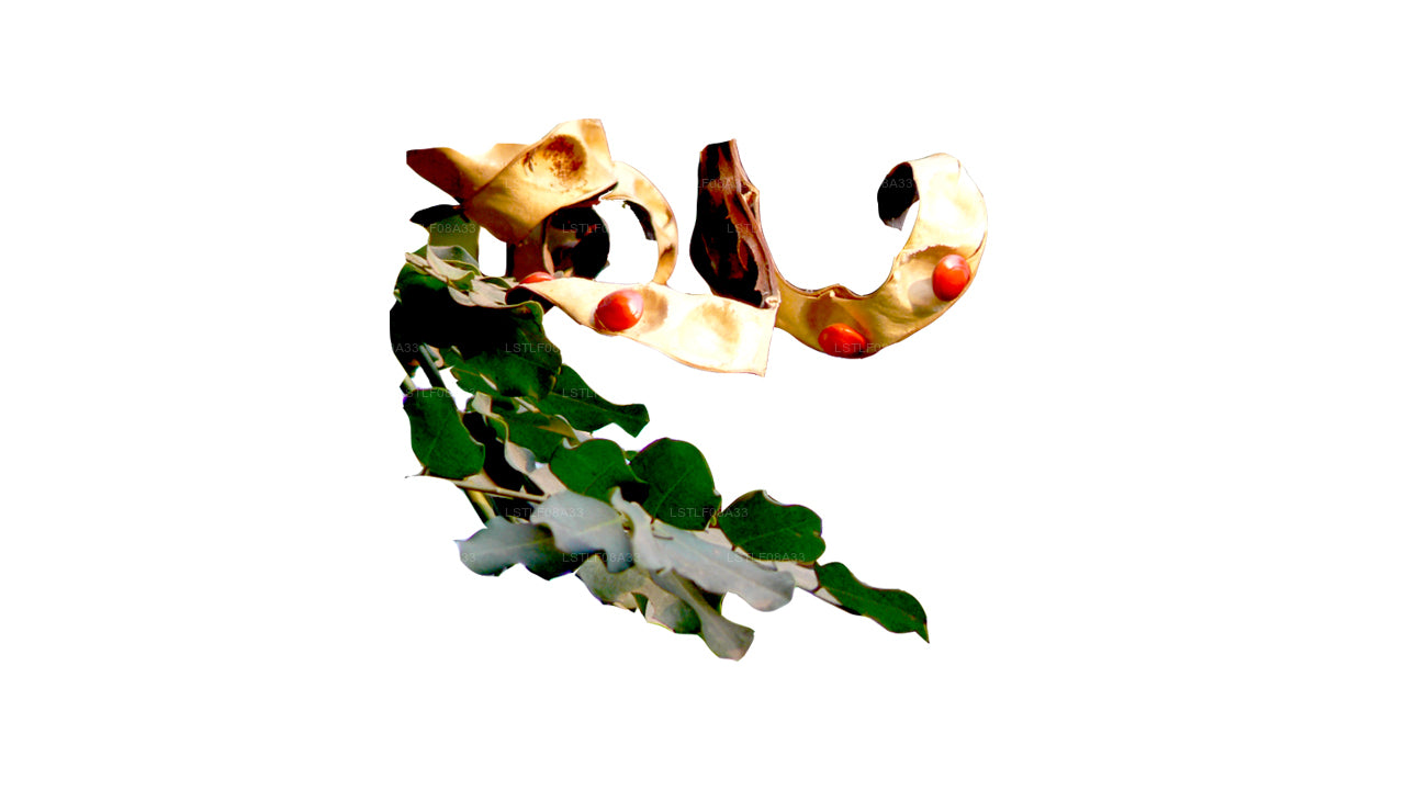 Graines Lakpura Madatiya (graines rouges, graines décoratives) 250 graines