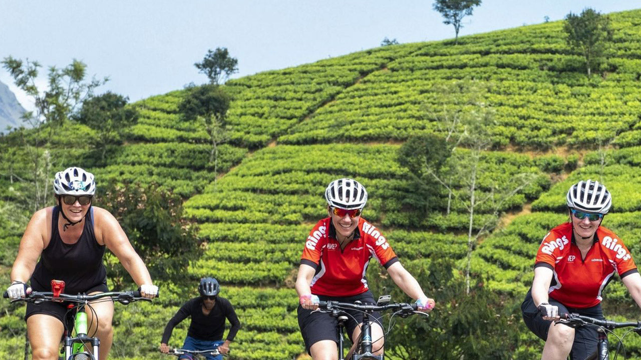 Excursion à vélo dans les hautes terres de Nuwara Eliya au départ de Kandy